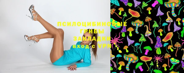 ECSTASY Липки